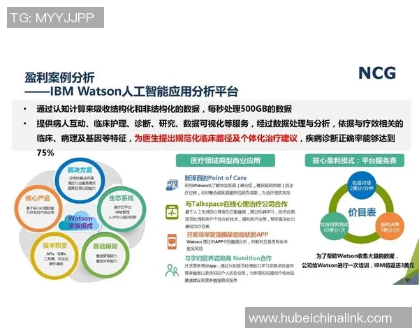 南京羽毛球队转型之路的成败得失与未来展望分析