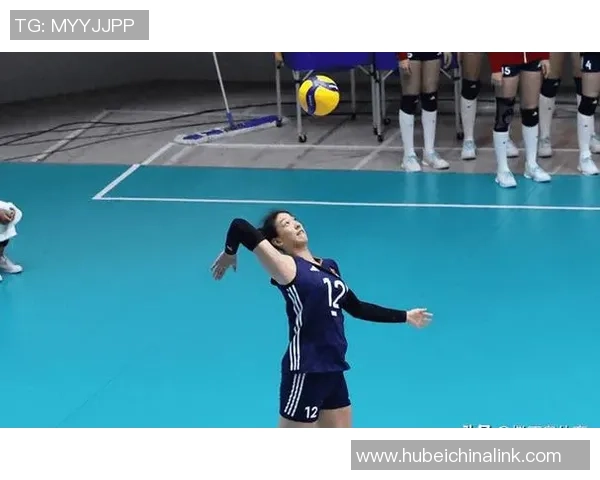 深圳排球队在锦标赛中的强势表现与未来展望分析