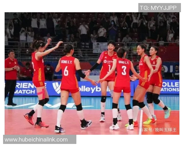 成都排球队中路突破的秘密与技巧深度解析