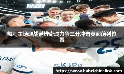 热刺主场迎战诺维奇城力争三分冲击英超前列位置