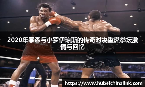 JN江南体育官网
