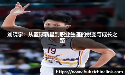 JN江南体育官网