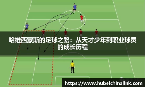 JN江南体育官方网站