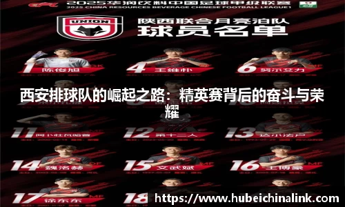 西安排球队的崛起之路：精英赛背后的奋斗与荣耀